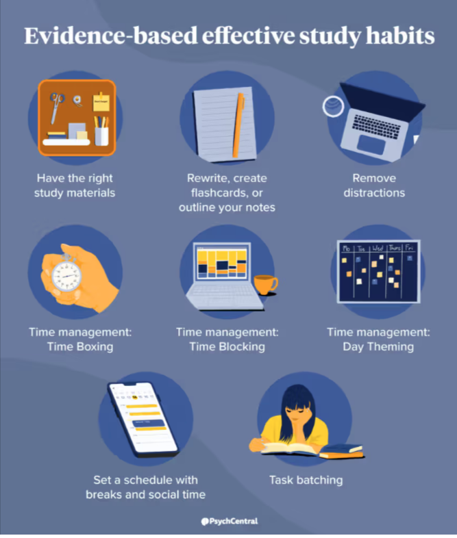 the image is an infographic about study habits